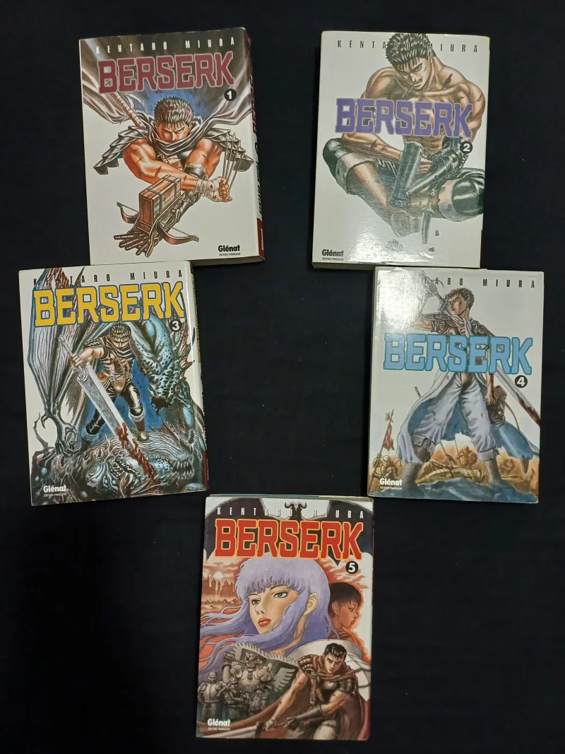 Berserk: 5 er tomes