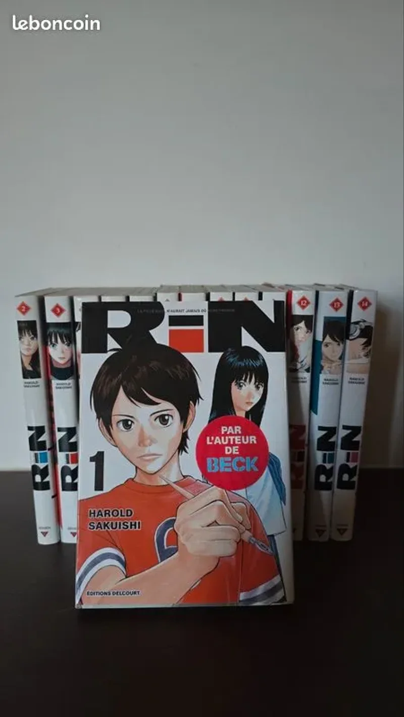 Rin - intégrale
