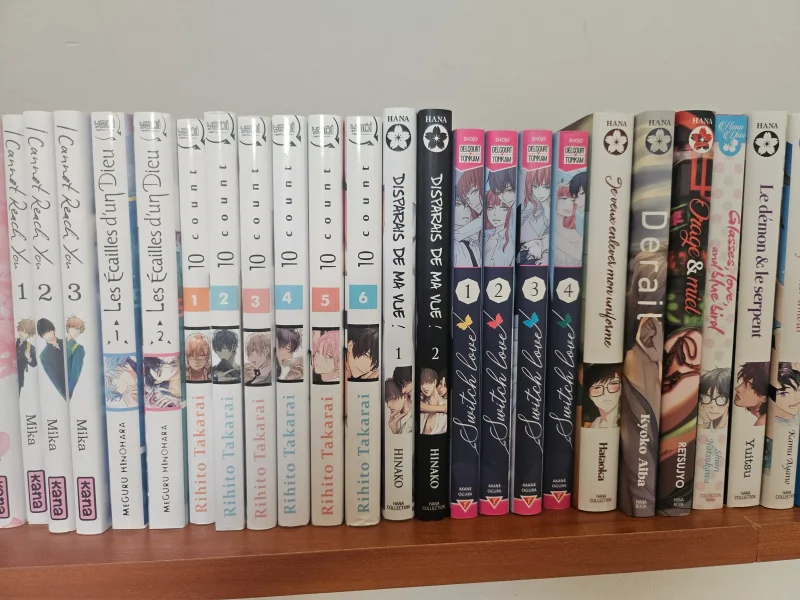 Manga yaoi