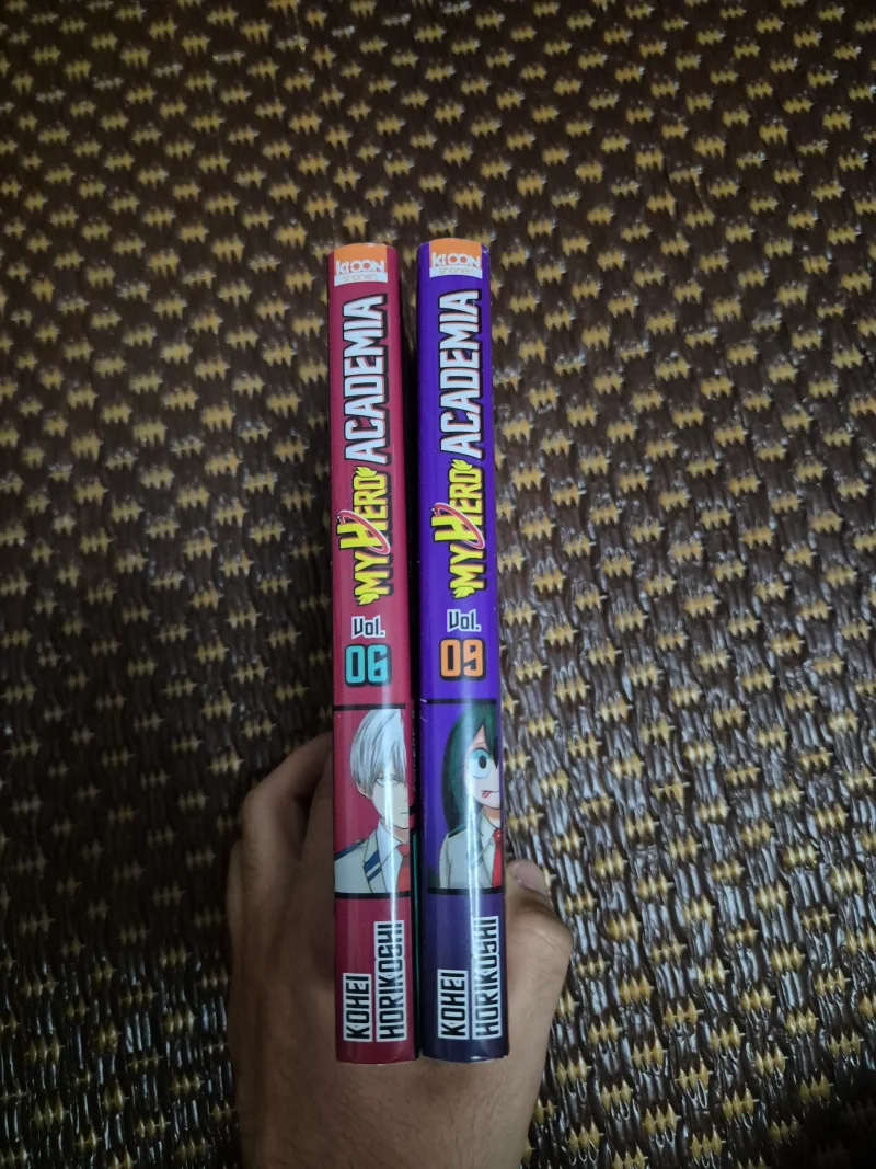 My Hero Academia: My Hero Academia Tome 6 et 9