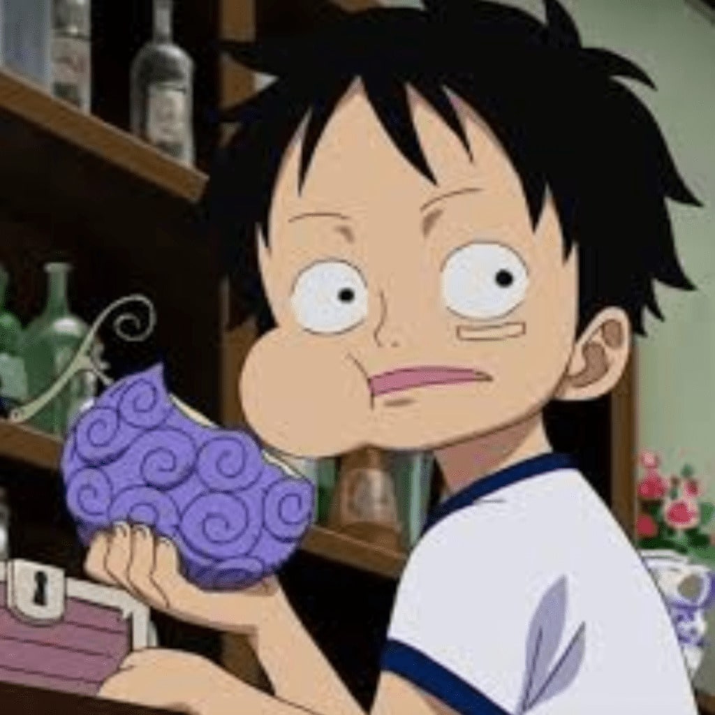 Gomu Gomu no Mi - de Gear Second à Gear Fifth